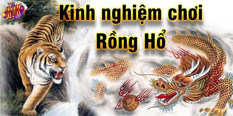 Cách chơi game bài rồng hổ